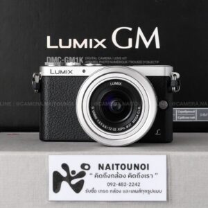 ( Used!! ) Lumix GM1 Silver + Lumix 12-32 F3.5-5.6 ASPH