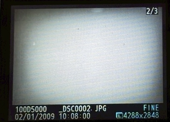 0301D6C5-5B30-4F04-BE34-1764096D3648